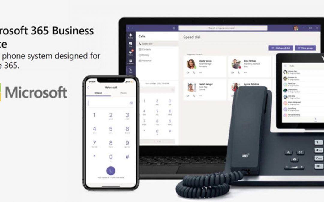 Microsoft Business Voice Basics Training