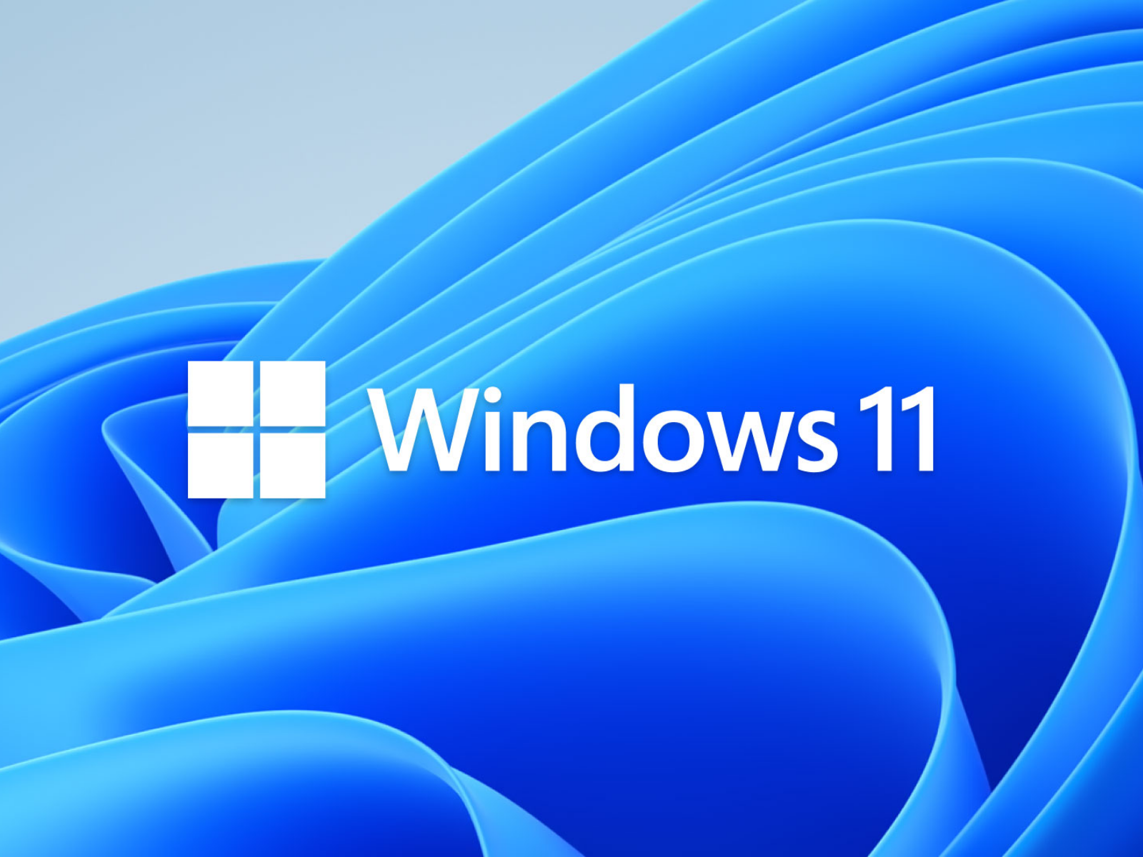 Windows 11